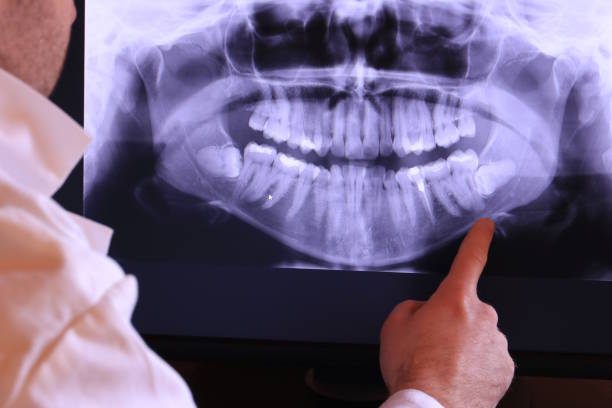 Best Emergency X-Rays and Diagnostics in Grass Lake, MI